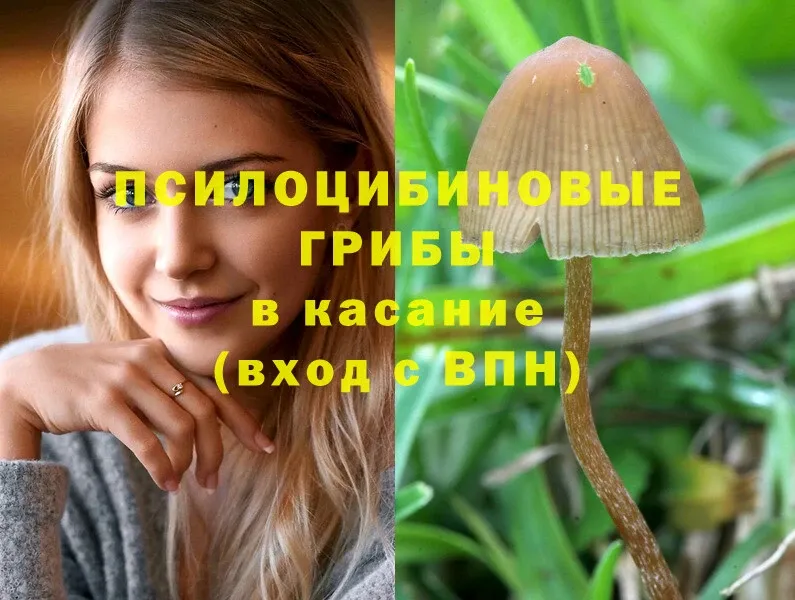 Псилоцибиновые грибы MAGIC MUSHROOMS  наркошоп  Серафимович 